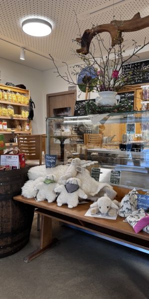 f5934a08 9a4c 4efc 834a a141ab3676e3 1 105 c